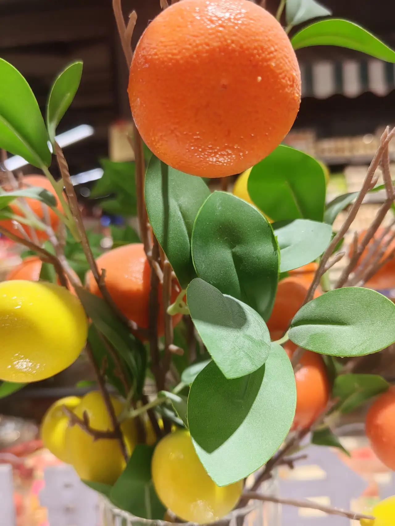 婆媳关系｜少计较，多体谅，家才暖
在中华民族的大家庭里，婆媳关系犹如一场“龙争虎