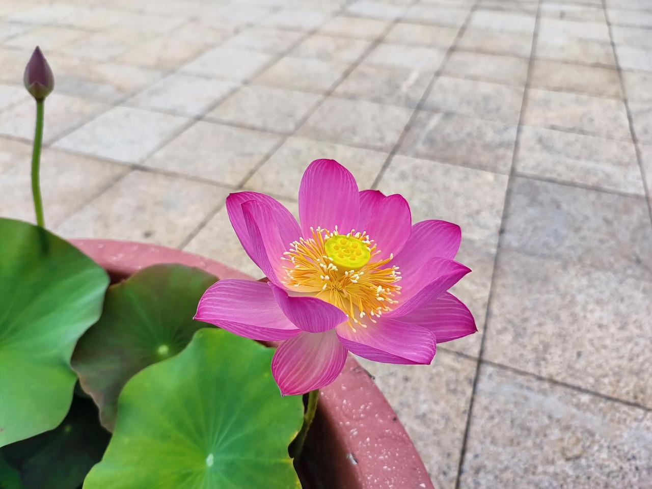 快毕业了，学生越来越难管。

某学校的一位毕业班老师被学生气晕了，以激将法对学生