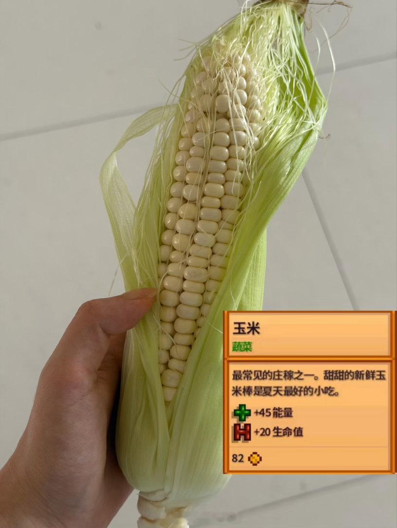 谢谢玩上星露谷现实版了本着不浪费玉米研究所的阿姨给我的种子随手一种竟然真给我种出