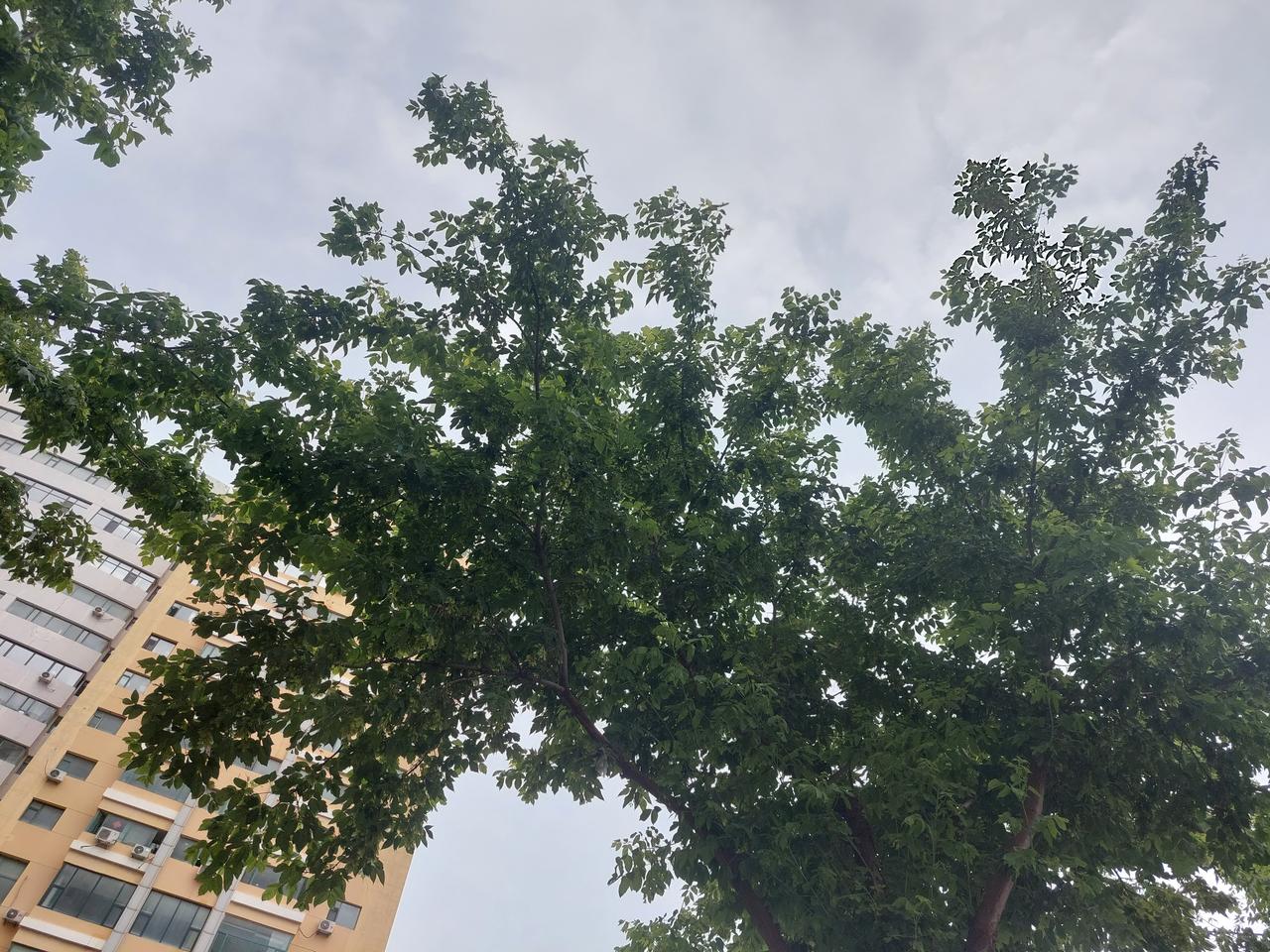 因为一张银行卡，浪费了 20 元钱。

妥妥的夏天了，中午从单位出来，穿了长袖的