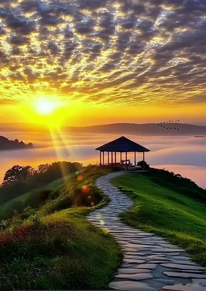 世界上最可贵的两个词：—个叫认真、一个叫执着；认真的人改变了自己，执着的人改变了