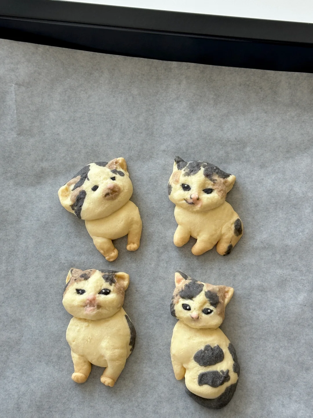 邪恶小鼻嘎奶香曲奇～