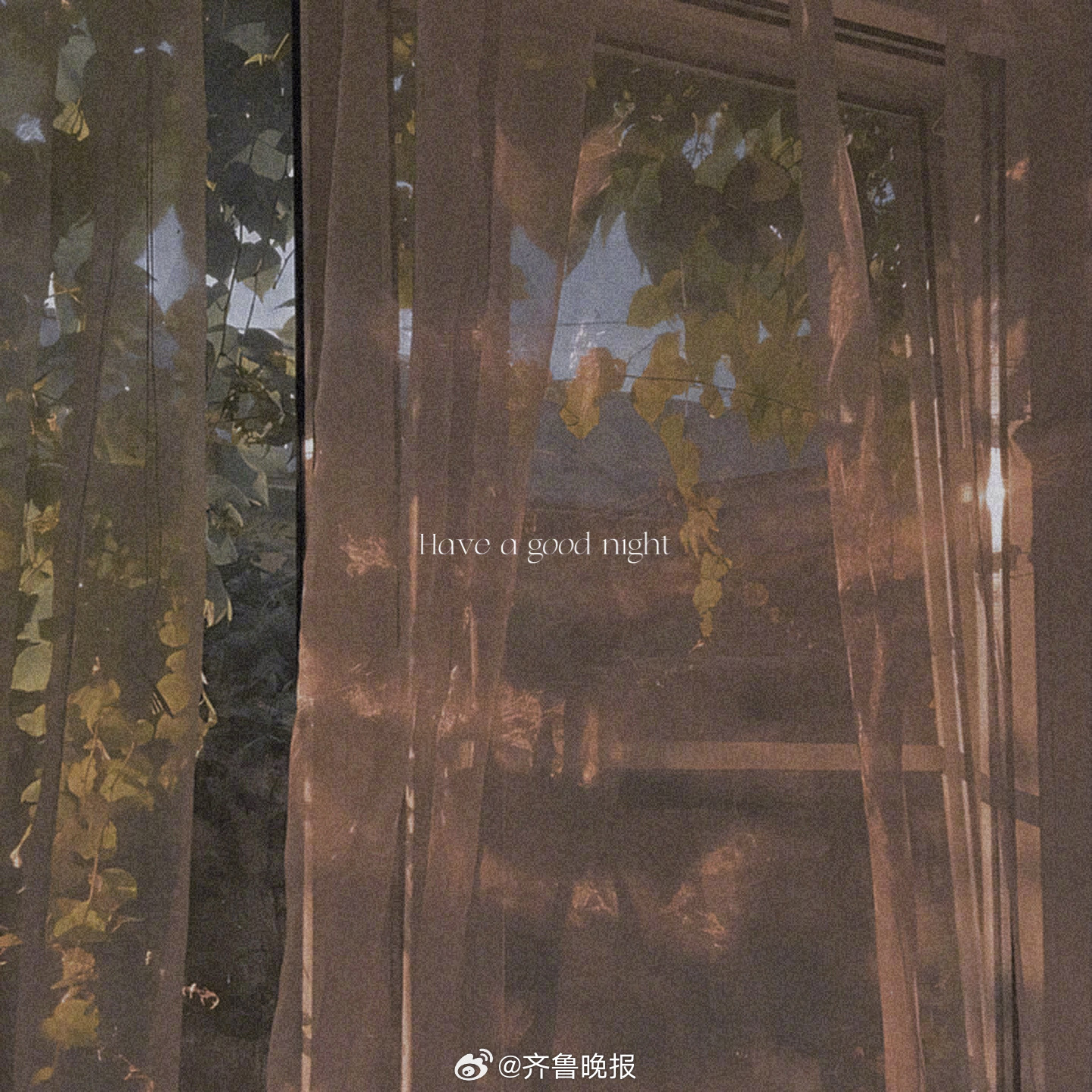 日子简单就是最好的光景[月亮]#晚安# ​​​