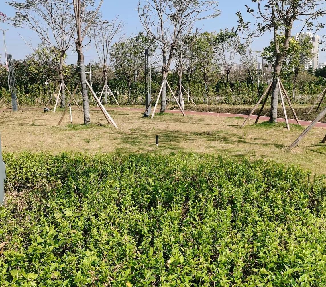 胡锡进发文建议，一旦日本拥有核武器，中方确认日本准备对中国实施核攻击，将保留对军