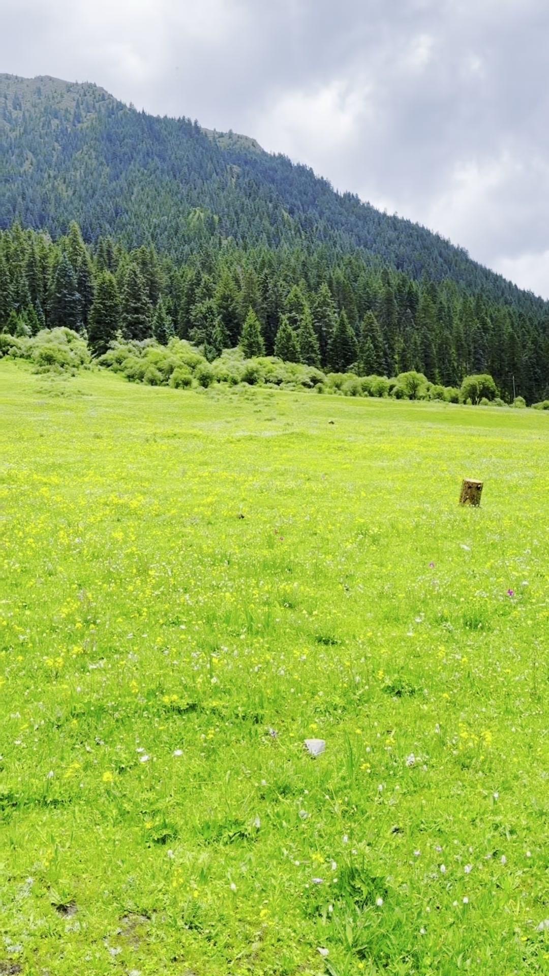 💨川西自驾真的太治愈了！一路看雪山、草原、海子，窗外的风景像流动的油画，连呼吸