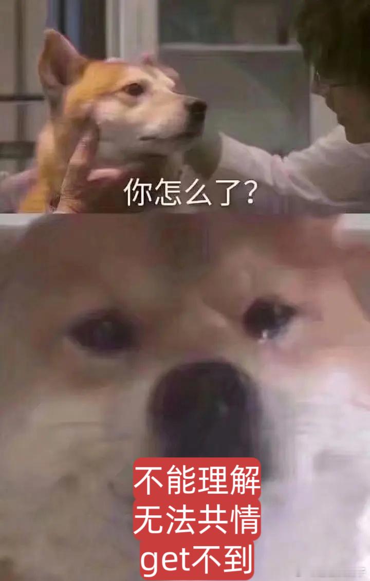 10间敢死队全员精神状态测试竟然定档五一了，看到这样的全员精神状态也是超级美丽，