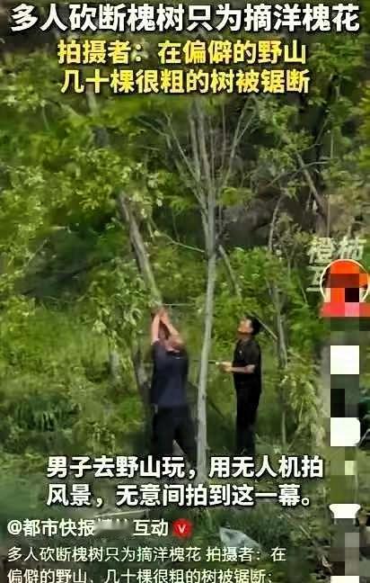 “作孽呀！”4月29日，陕西礼泉一男子旅游，用无人机拍风景，竟发现某村附近
发现