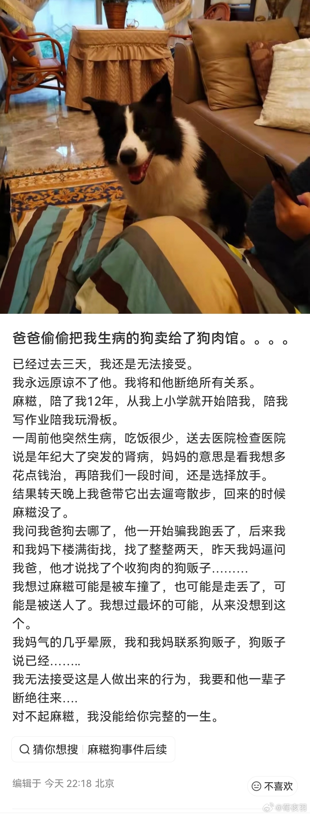 刚失去了我的小猫，看到这种事情，除了悲伤以外，就是愤怒。 