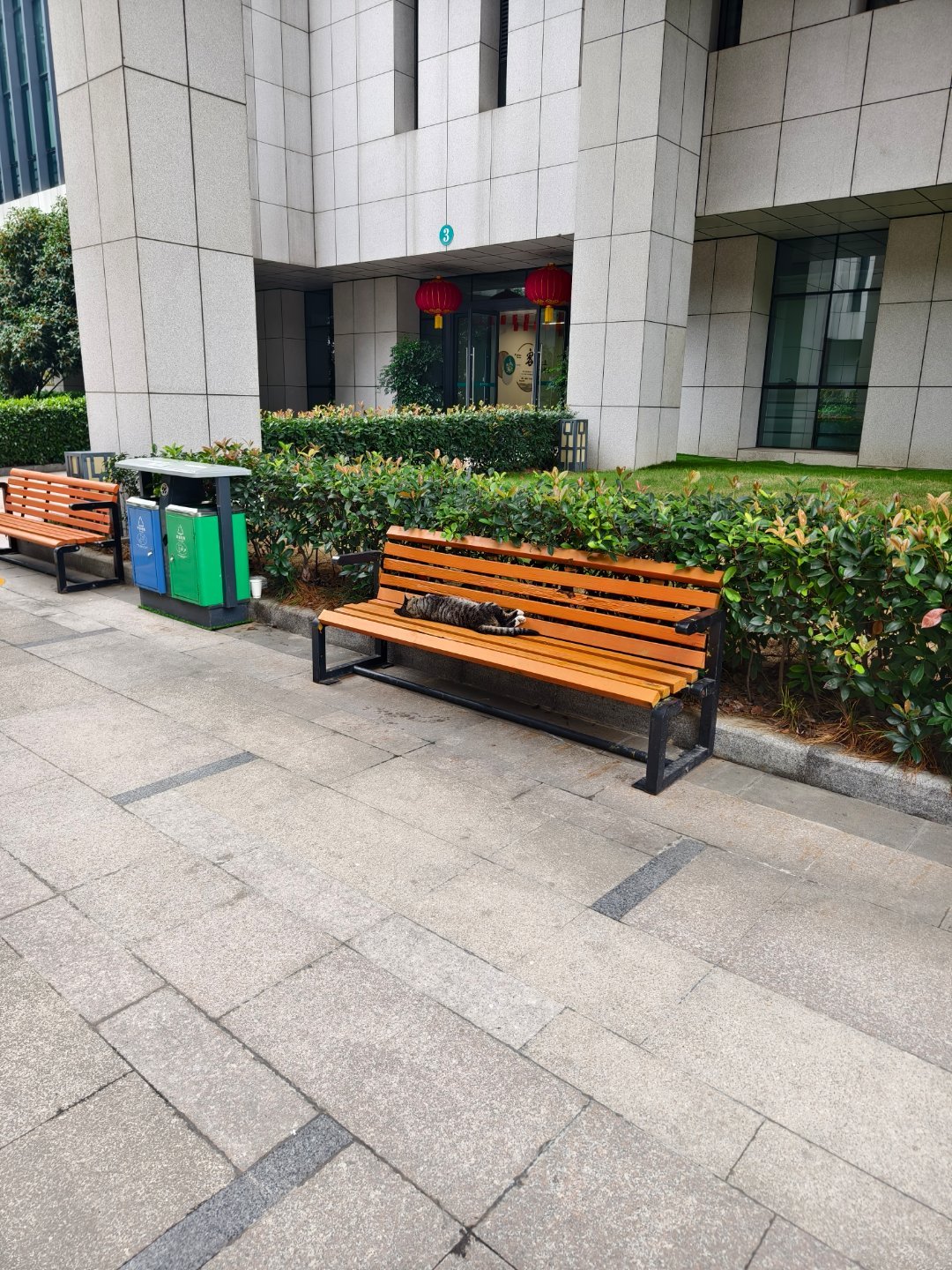 这样好吗，哈基咪？ ​​​