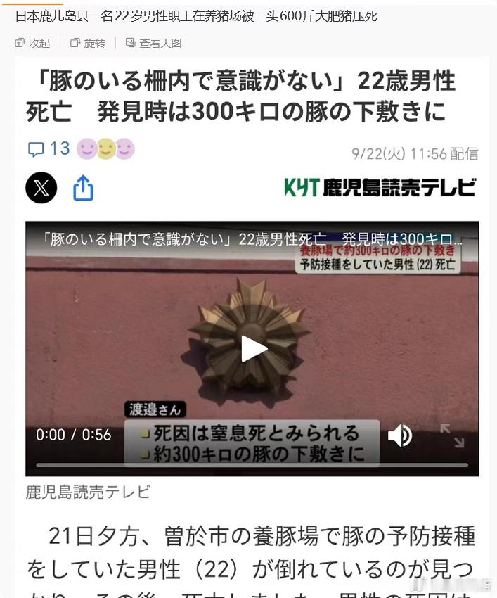 日本鹿儿岛县一名22岁男性职工在养猪场被一头600斤大肥猪压死[费解] ​​​