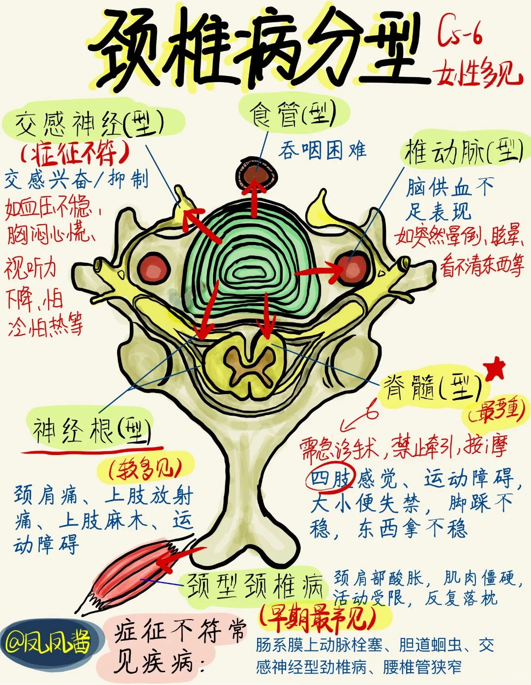 📖 医学生笔记 |颈椎病分型 建议点赞收藏