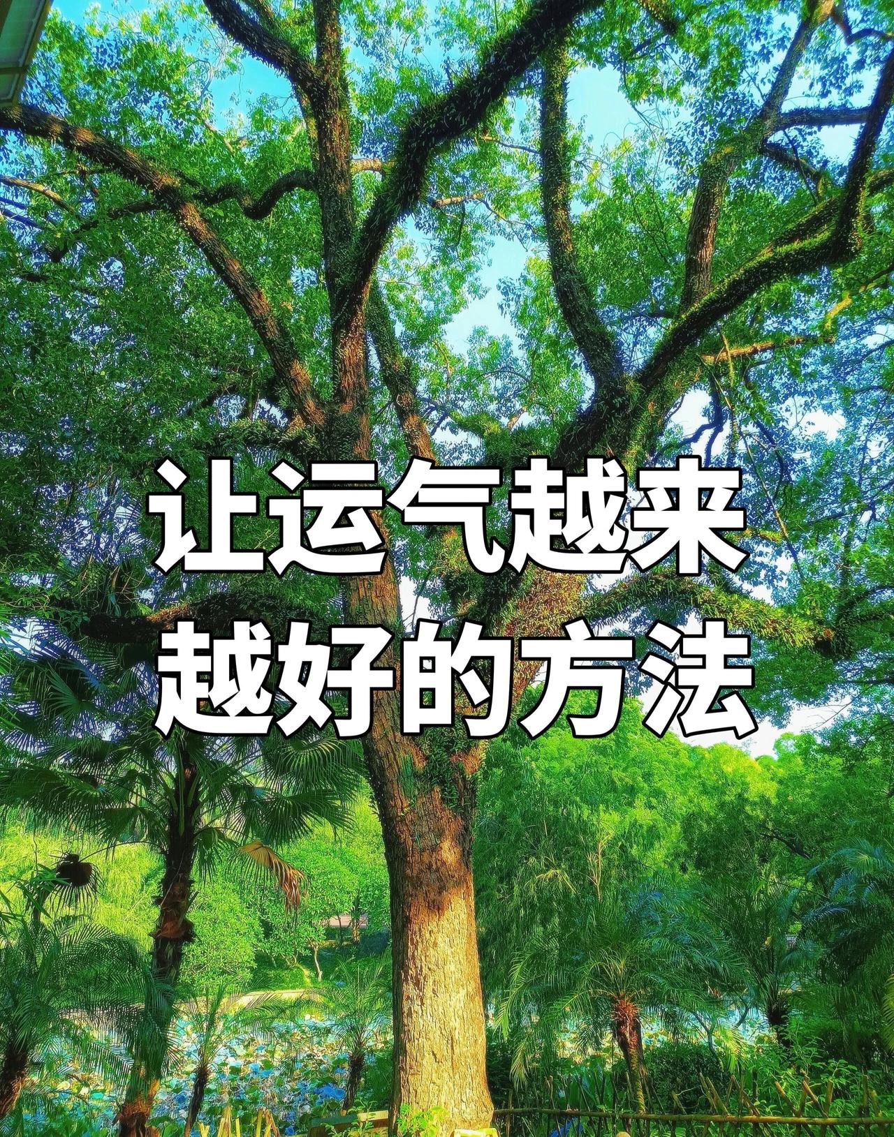 低谷期，让运气越来越好的5个方法
亚里士多德说过：好运藏在你的习惯里。

越想越
