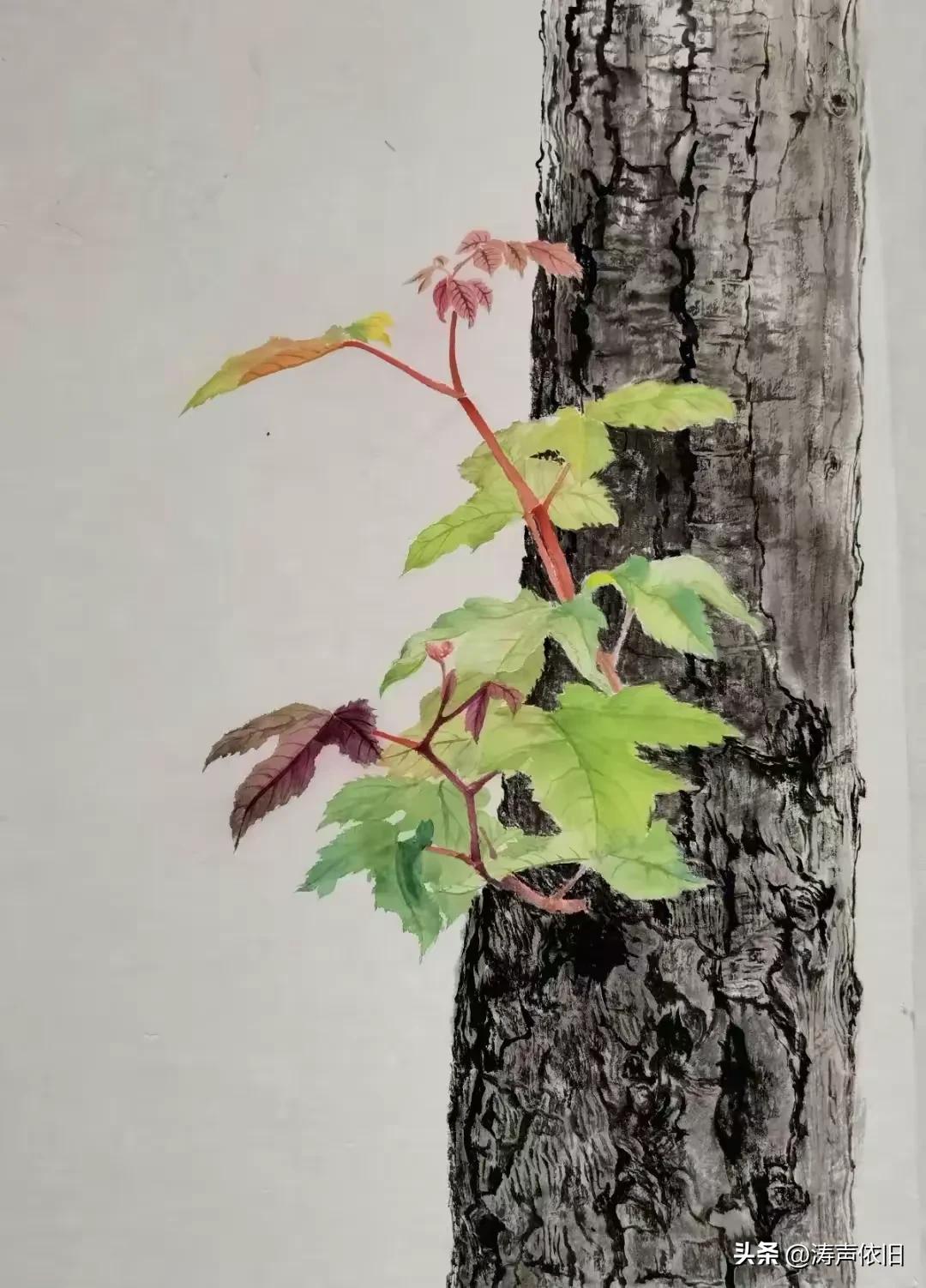 《鹧鸪天·老来乐》

日日逍遥老来乐，
闲游浅酌自为活。
无争世事无考评，
漫享
