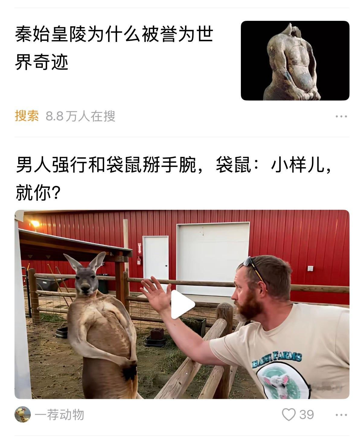 概率是神奇的[挤眼] ​​​