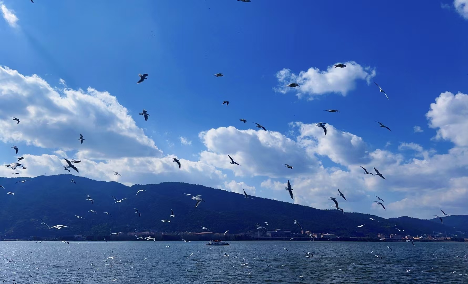 路还很长，温柔与好运都在赶来的路上 