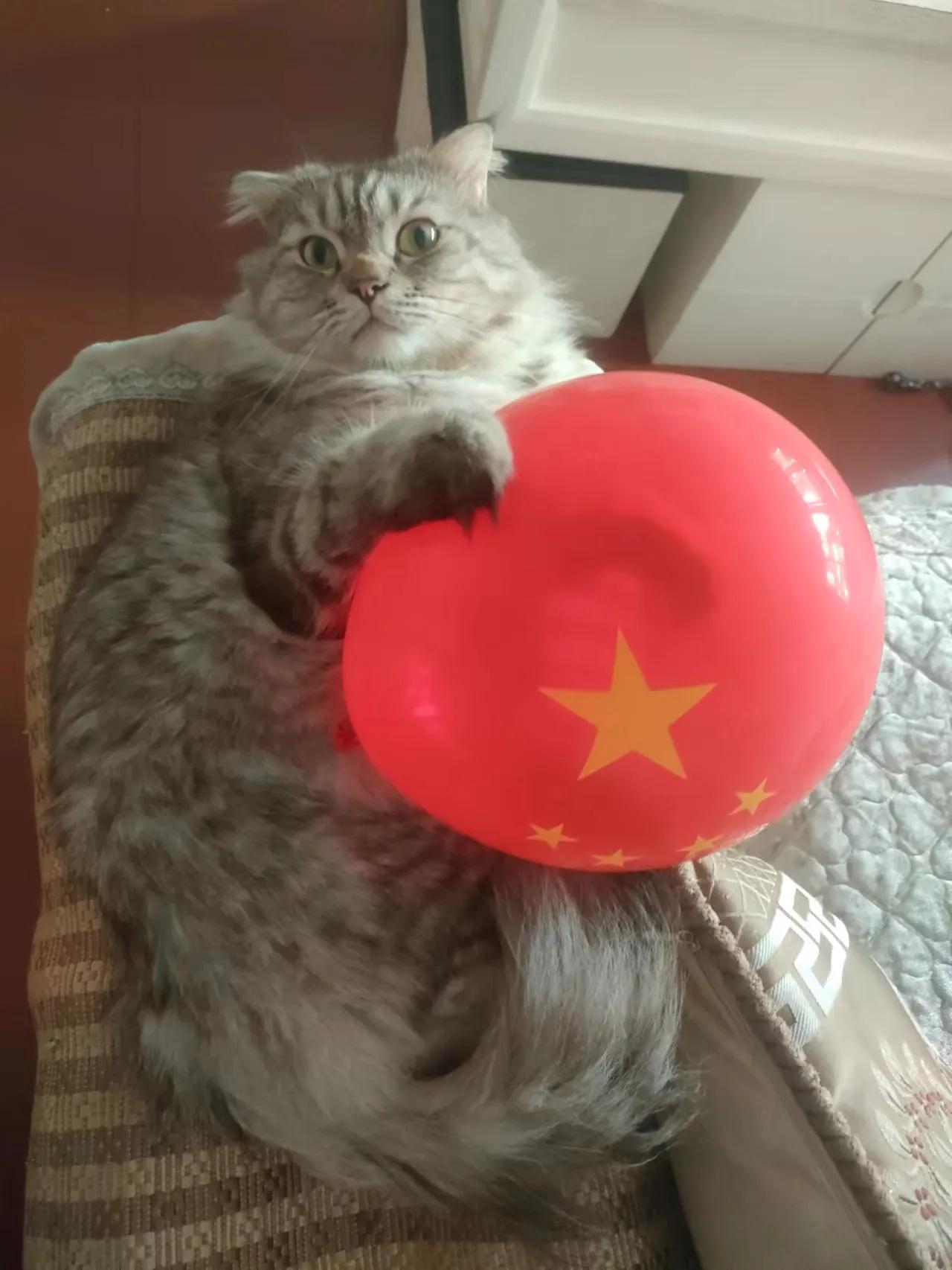 #上联：花开并蒂，共渡良缘。诚邀下联#比翼双飞、缠缠绵绵。