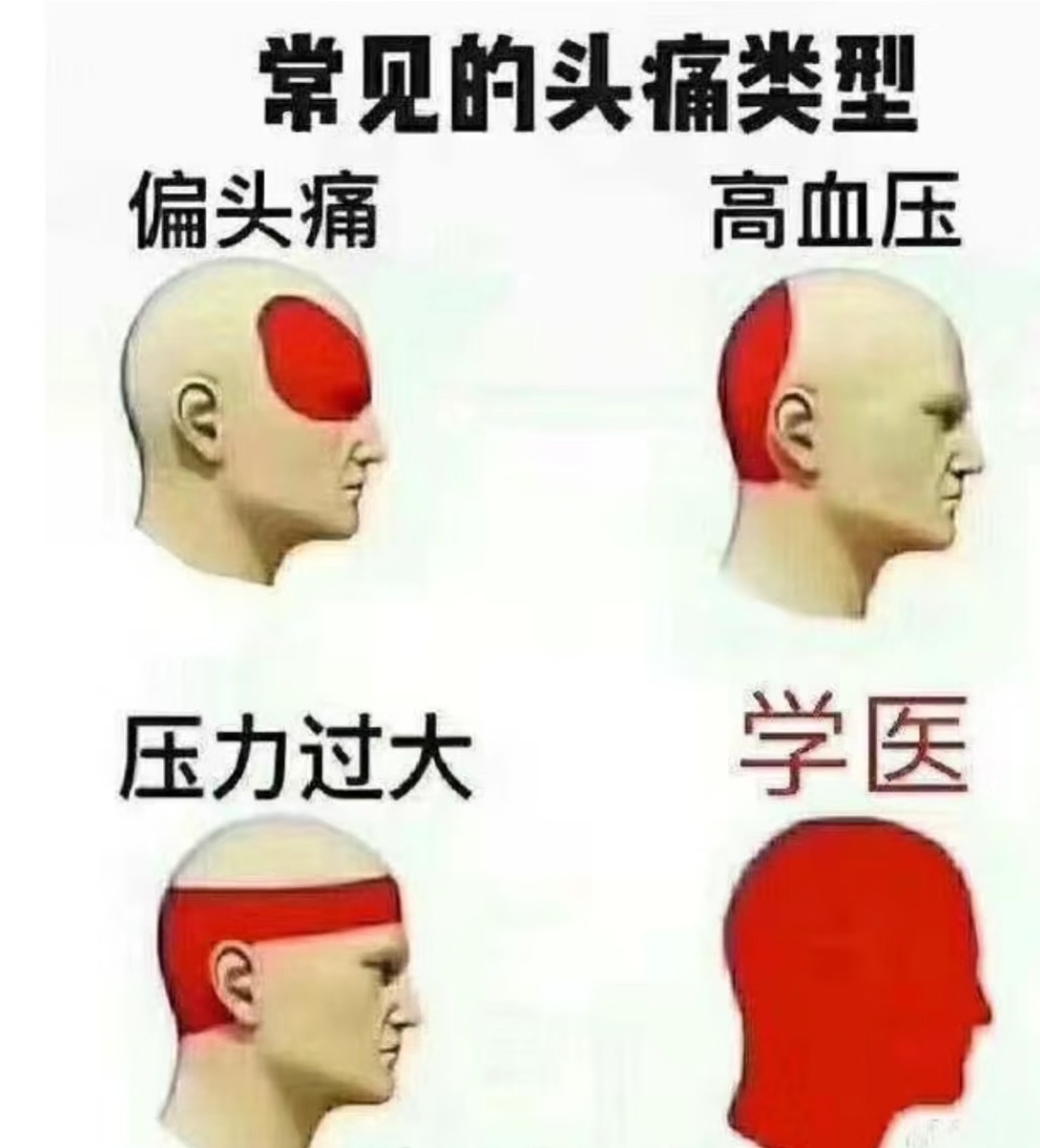 最近我真的有点萎其实，一到快期末我就觉得浑身难受，作业突然冒出来一大堆、课还没结
