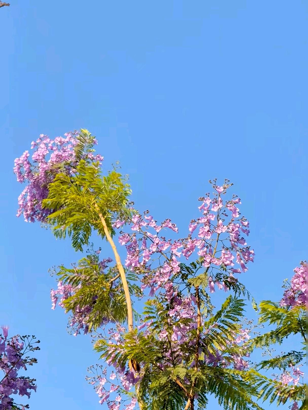 ‎每日一善 🍃‎阳光‎信用 新的一天，愿你的笑容，能驱散所有的阴霾；愿你的行动