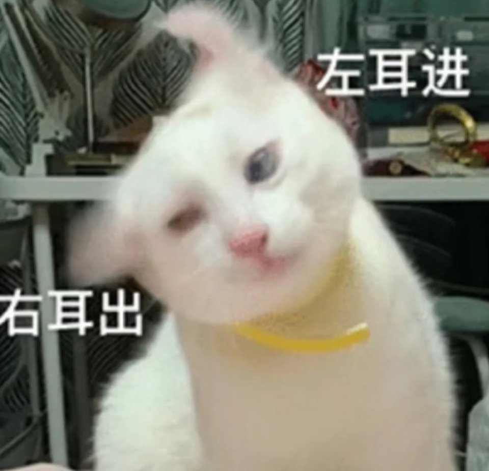 实时号检测每日一问，哈喽？ ​​​