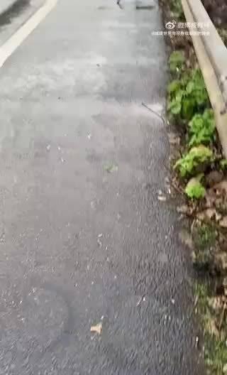 岚图追光 S 挑战隧道 360 度大回环，用中学物理公式是算不明白的，甚至仿真也