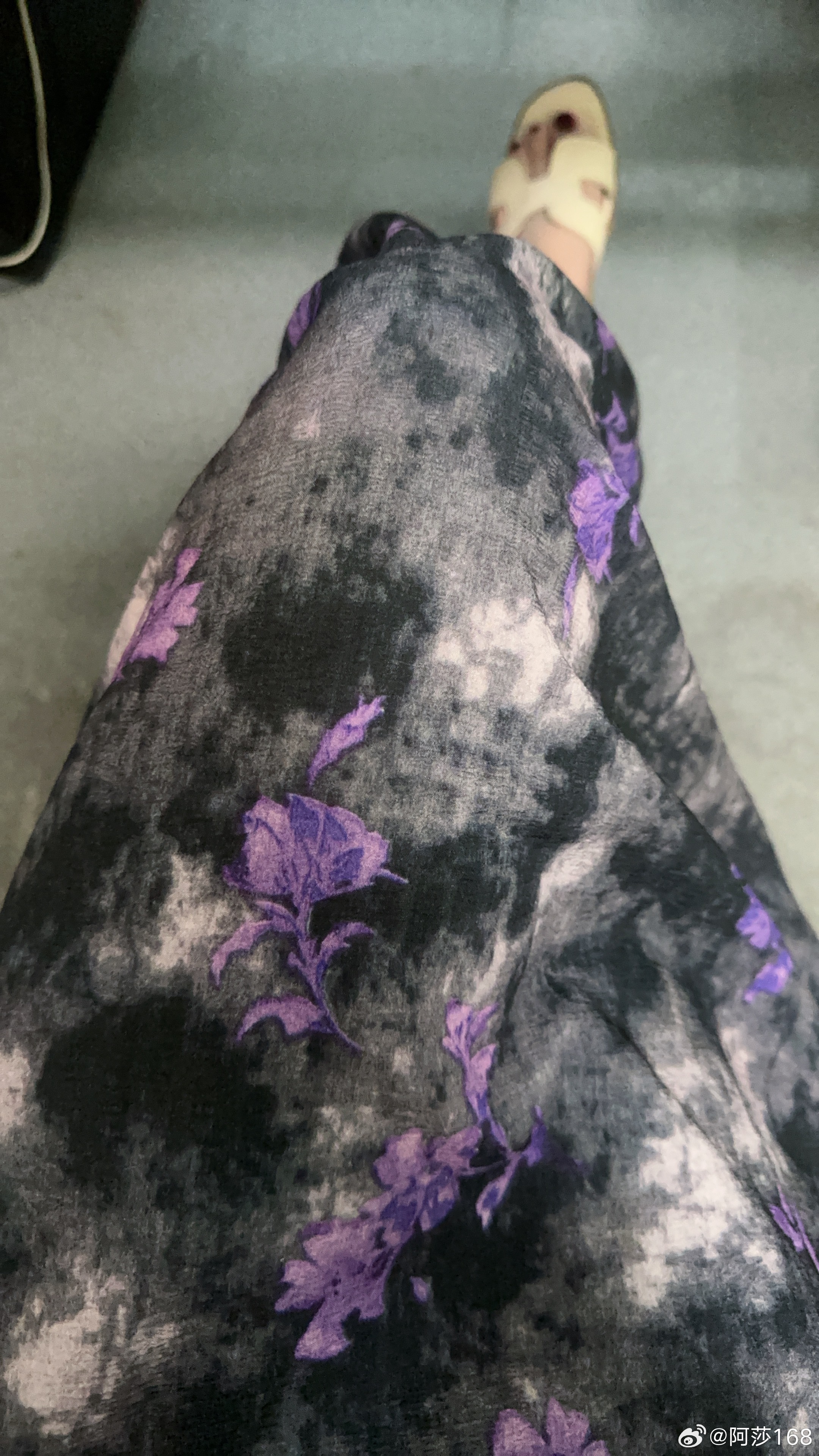 生活细碎，万物可爱，普通日子慢慢过✨我的每一条👗我都爱OOTD今天穿什么不伤仲