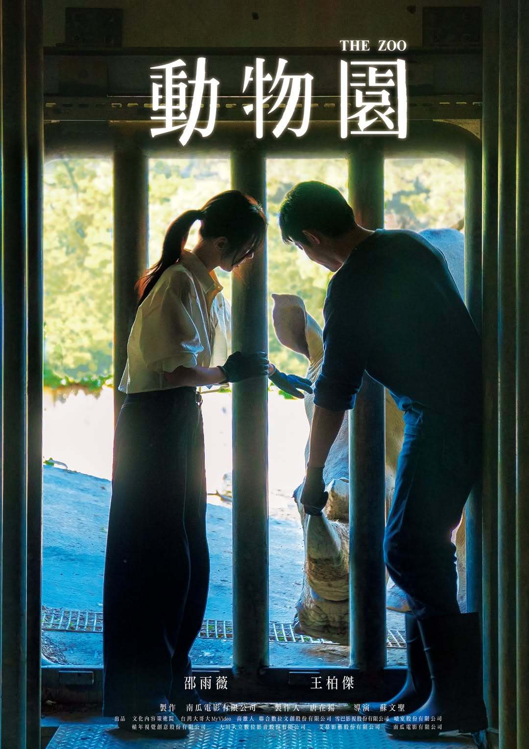 邵雨薇与王柏杰主演的台剧《动物园》前导海报释出ʕ •ɷ•ʔฅ这是台湾首部以动物保