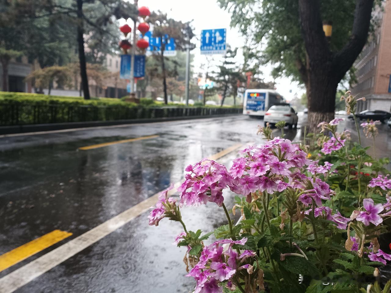 雨中步行
七号，长春下了一天的大雨，上午去医院，走着去，走着回，一双鞋湿透。
途