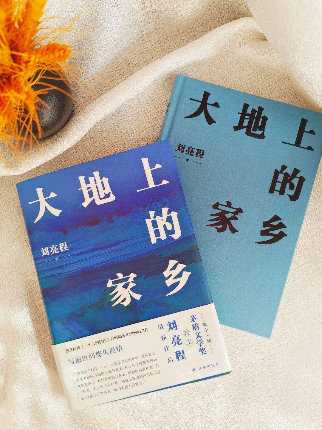 刘亮程新书｜每个人终将活成自己的家乡！
