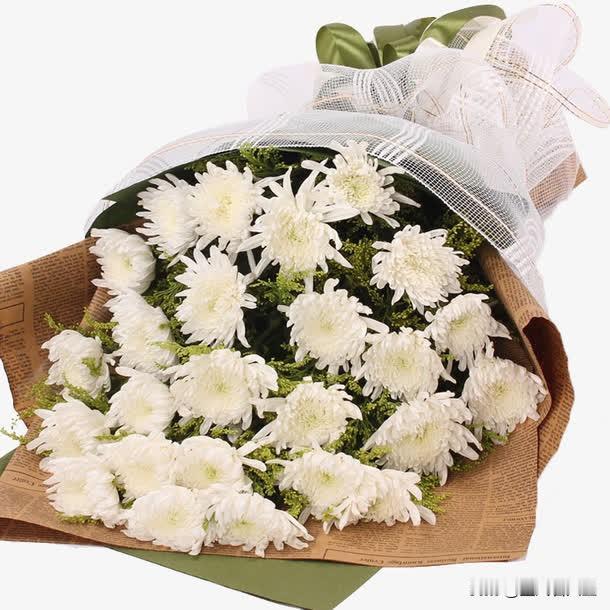 苏幕遮   清明祭祖

晓风寒，春草浅。
已到清明，先把哀思遣。
故里烟霞凝泪眼