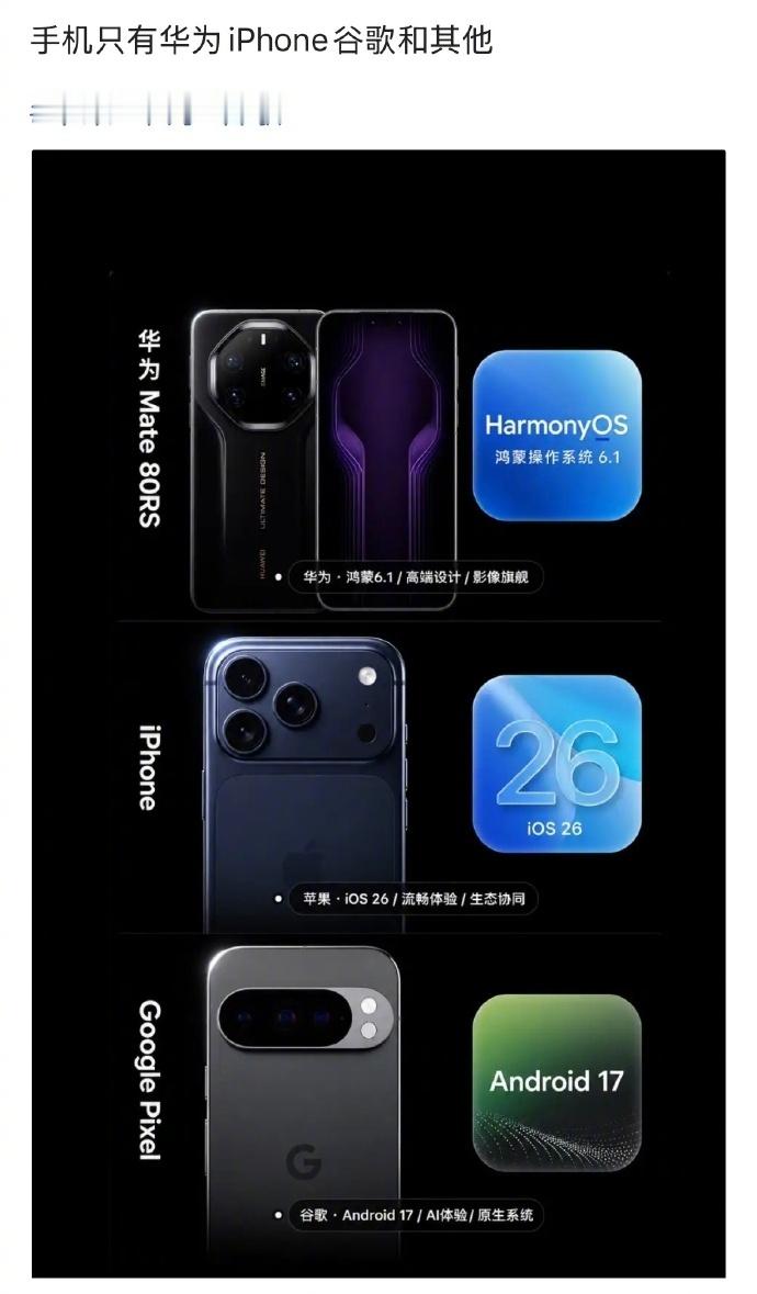 网友：手机只有华为iPhone谷歌和其他。我：…………