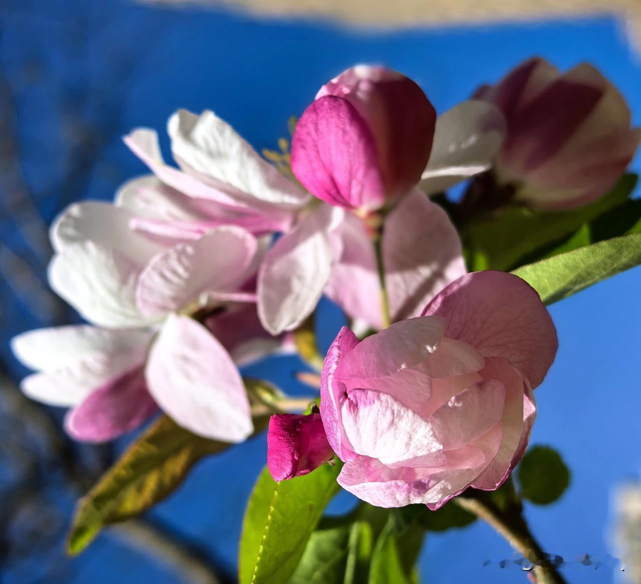 亲子沟通问题的本质是什么?亲子沟通的本质，从来不是说教与听话，而是看见彼此真实需