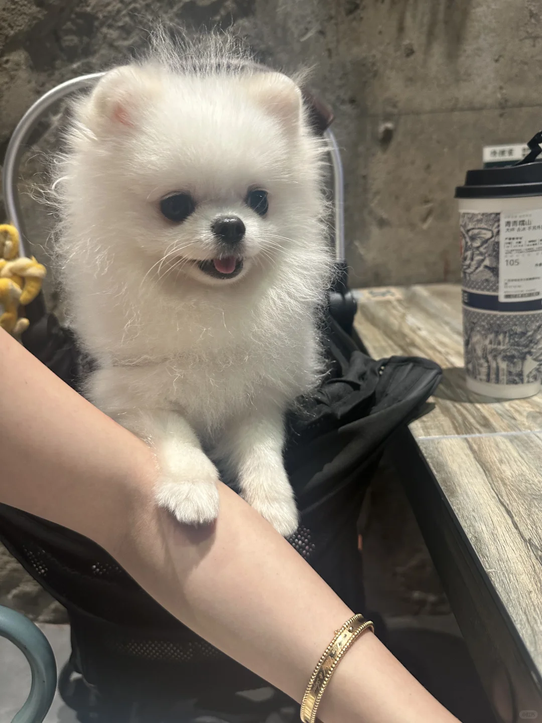 我的吃饭搭子