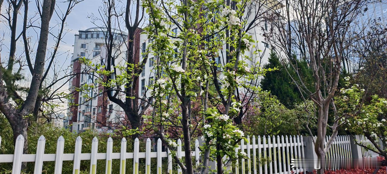 “给你个主管当当。”工资涨500，锅重了50斤。这种假领导，谁爱当谁当

前同事