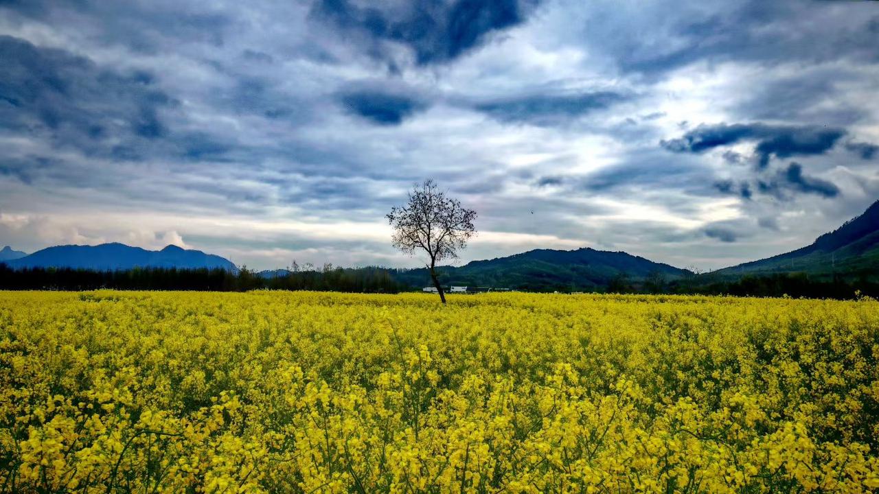 生活各有各的难，别羡慕别人，过好自己才最要紧
 
总有人忍不住盯着别人的日子看，