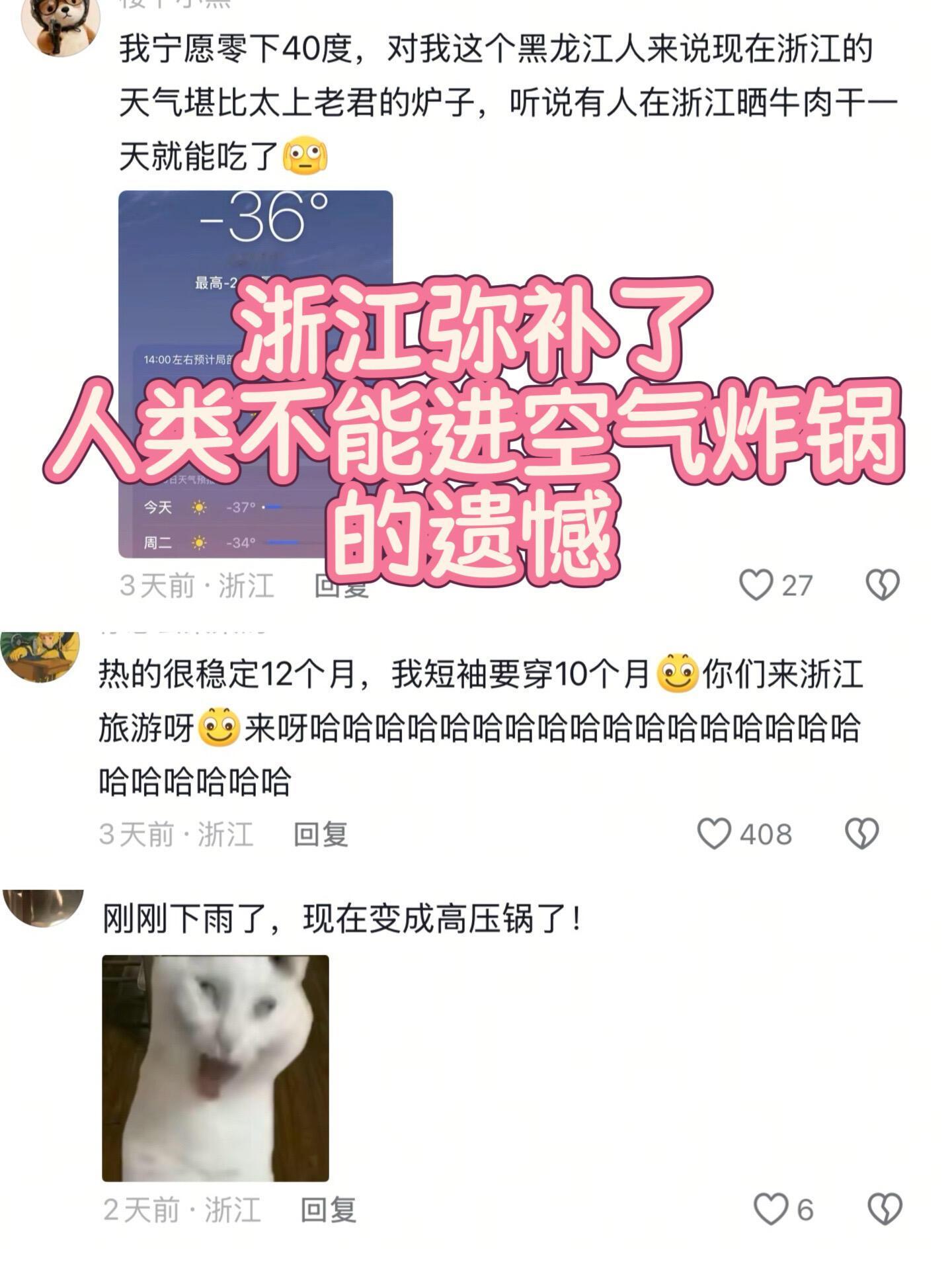 浙江弥补了人类不能进空气炸锅的遗憾 浙江人的命都是空调给的‼️不接受反驳💦💦