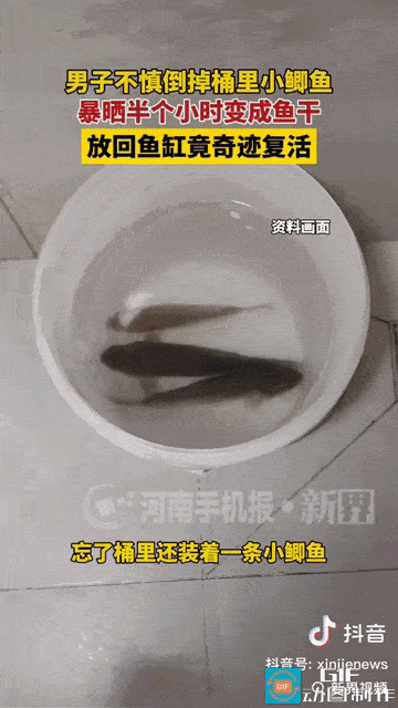“解释不清了！”河南，一男子误将小鱼随水倒出，烈日暴晒下，活鱼转眼竟成了硬邦邦的