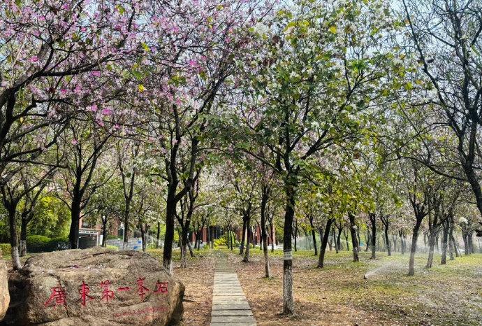 来华农晃悠了半天，主打一个半日游！点了份烧鸭双拼饭才 14.4 块，肉多料足；再