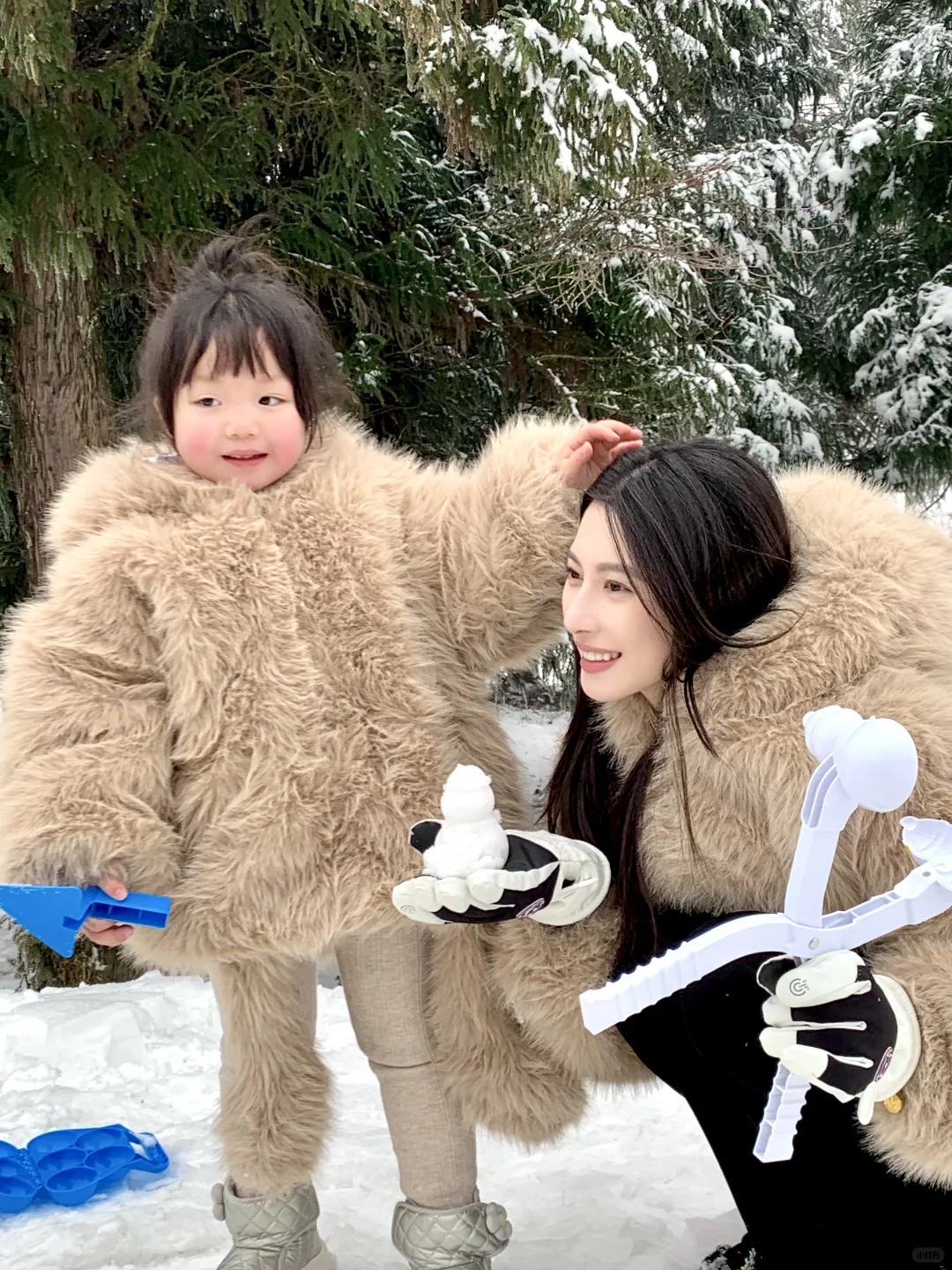 迷你小兔和巨人小姨