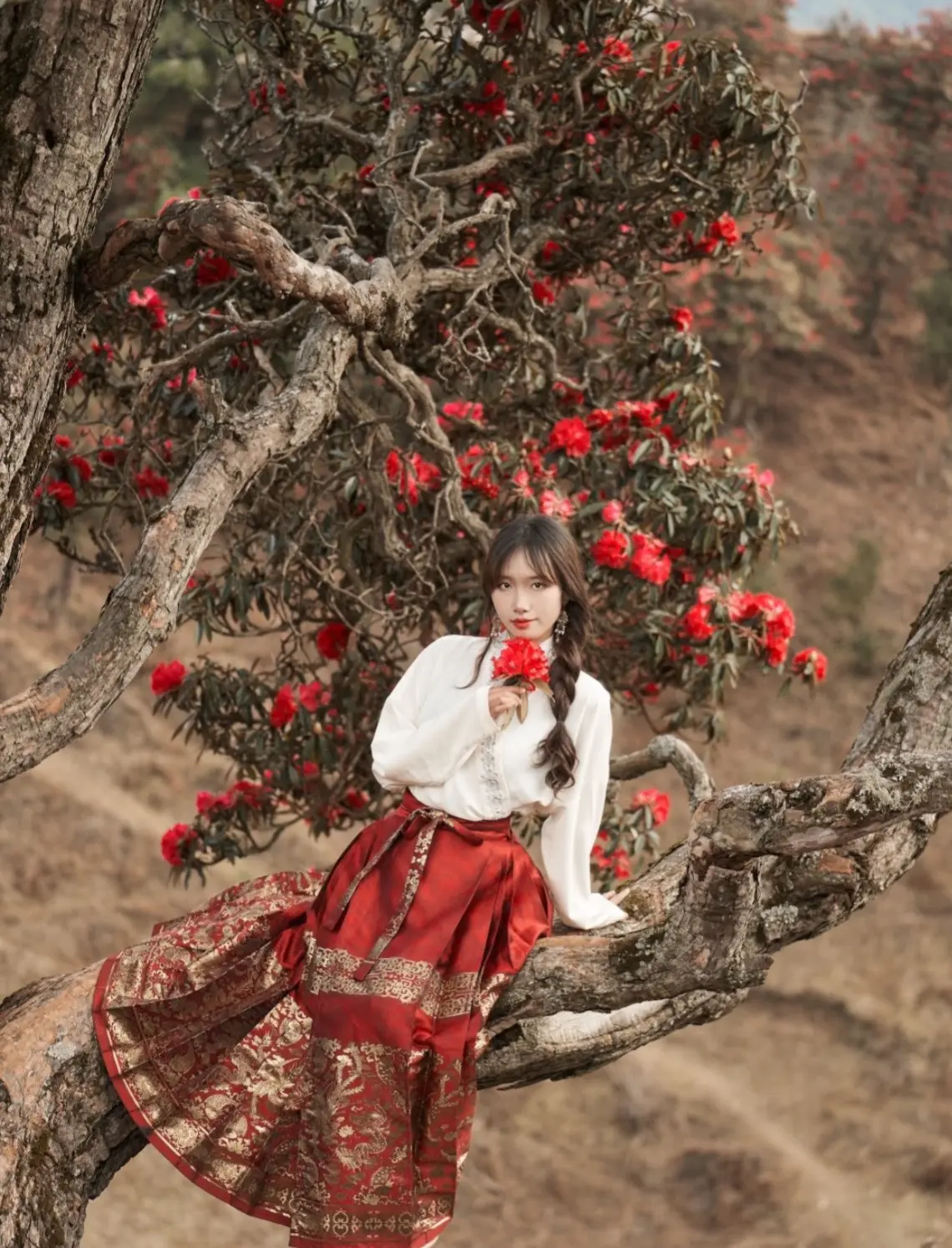 马面裙与花。今年的杜鹃花我替你去看了