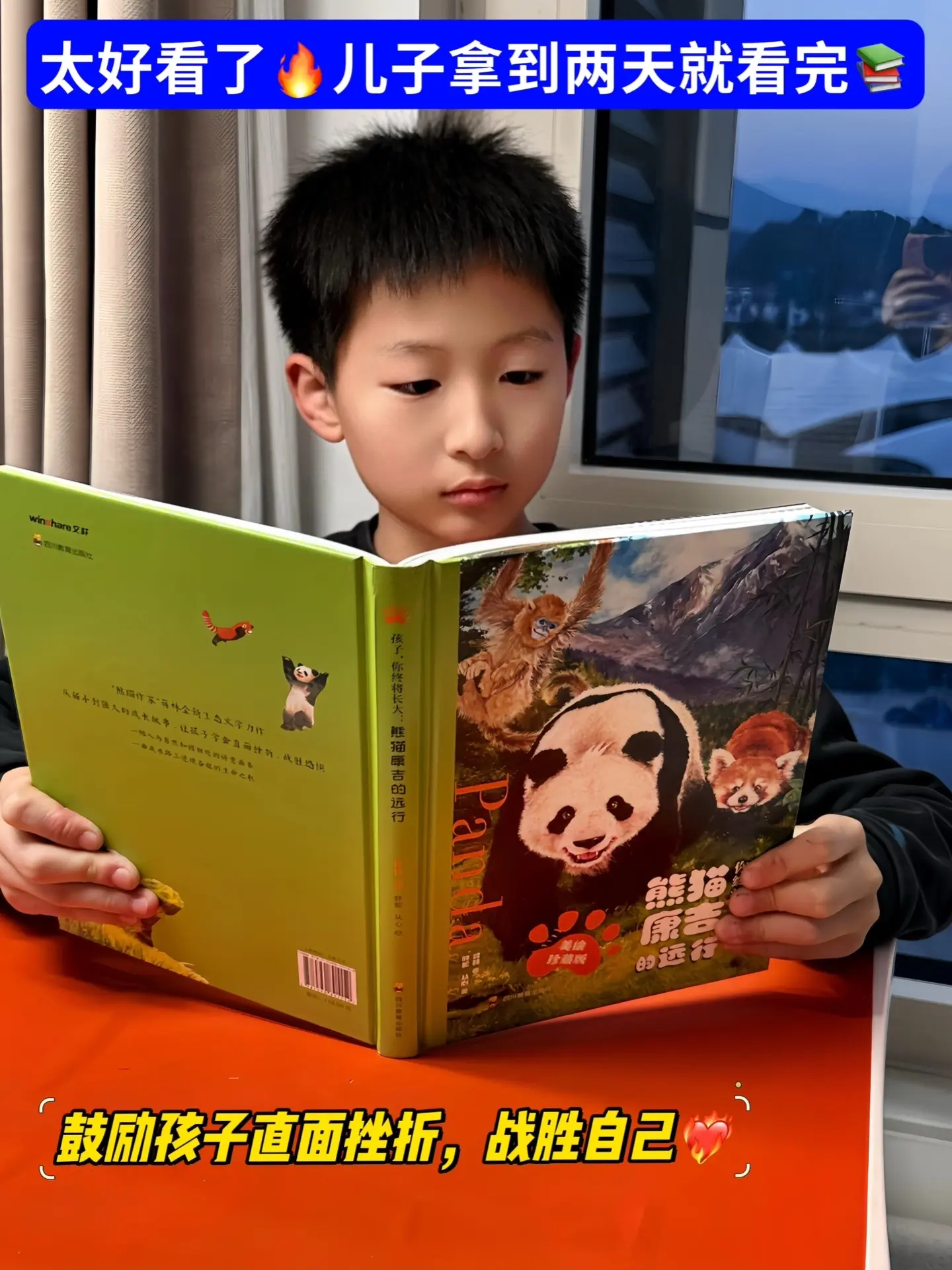 中小学生不可不读的成长励志小说🔥。📚故事讲的是一只叫康吉的小熊猫...