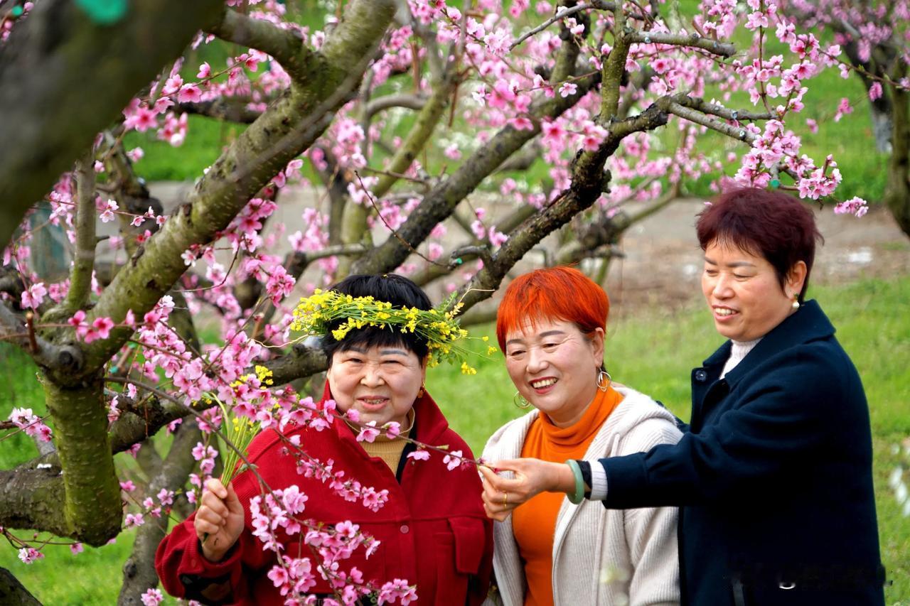 花开如锦绣，笑语共春光。
