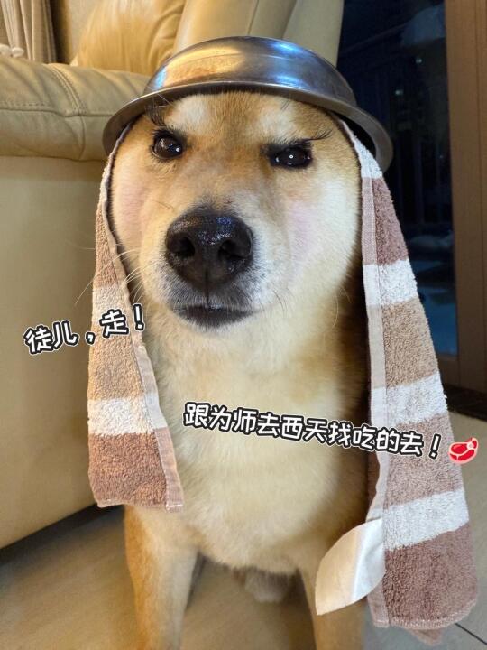 徒儿，走！跟为师去西天找吃的去！🥩