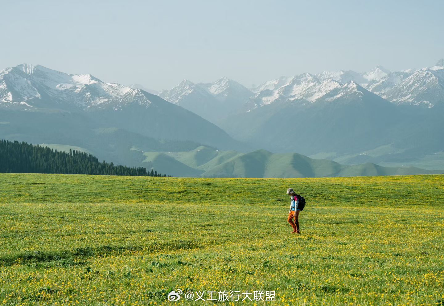 新疆旅行去看喀拉峻的花海不需要理由，5天4晚，出发就够了！5.23号徒步节还有名