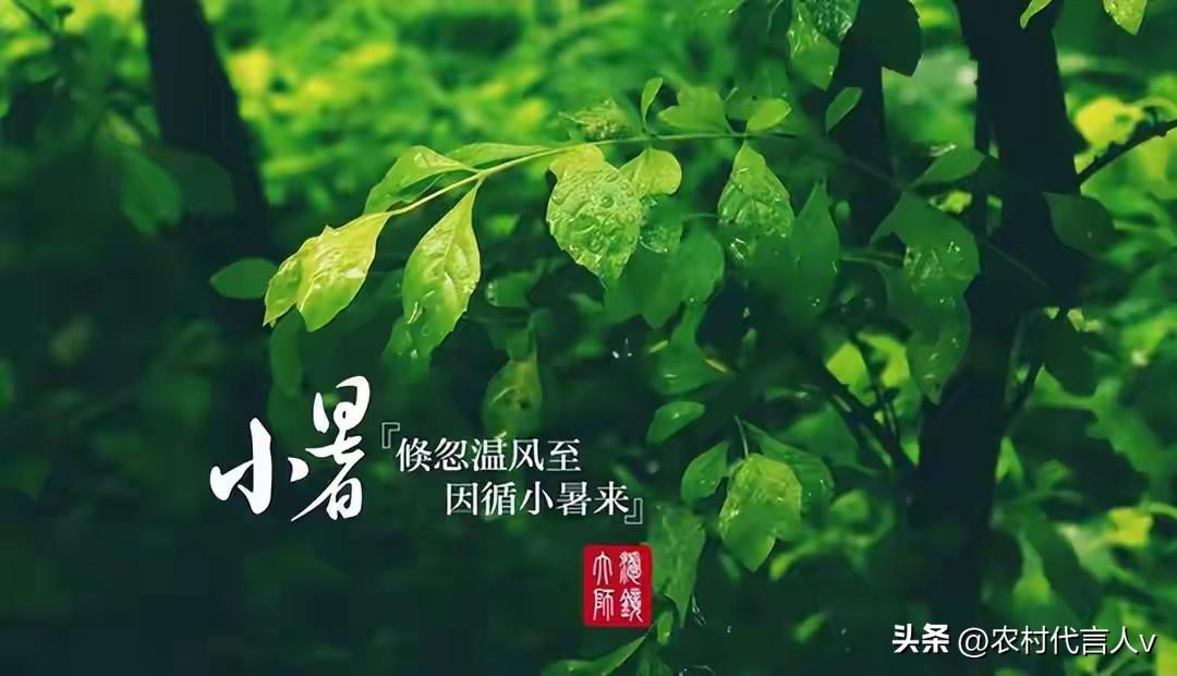 “下半年雨水大不大，就看小暑”，今日小暑，下半年雨水大吗？
 
今日7月7日，小