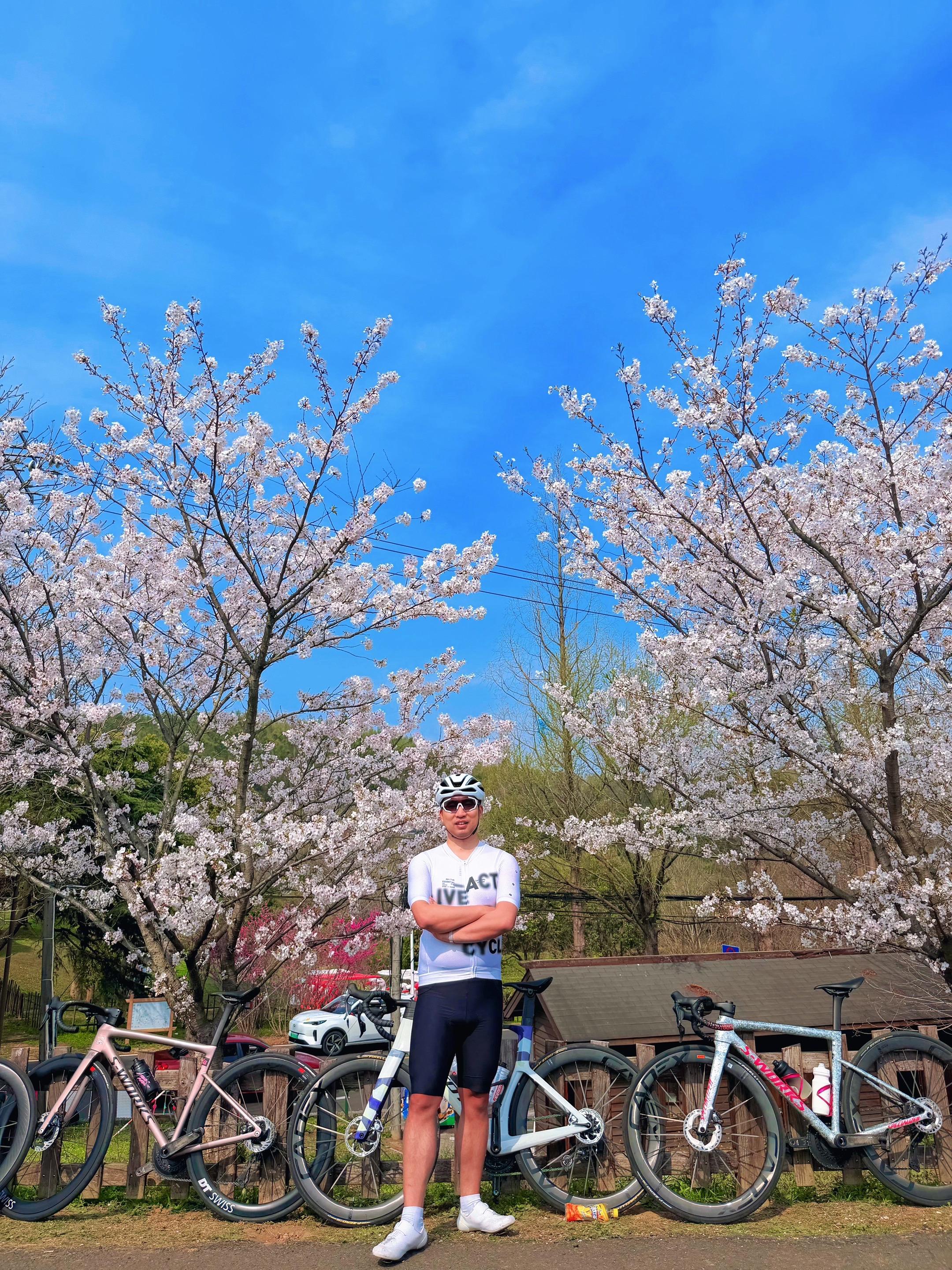 周日的天气是真的好，樱花路线也是真的美