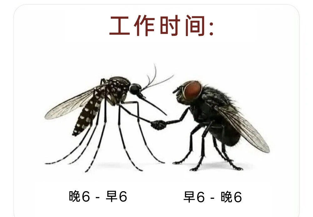 无缝交接，主打一个24小时贴身折磨😅 