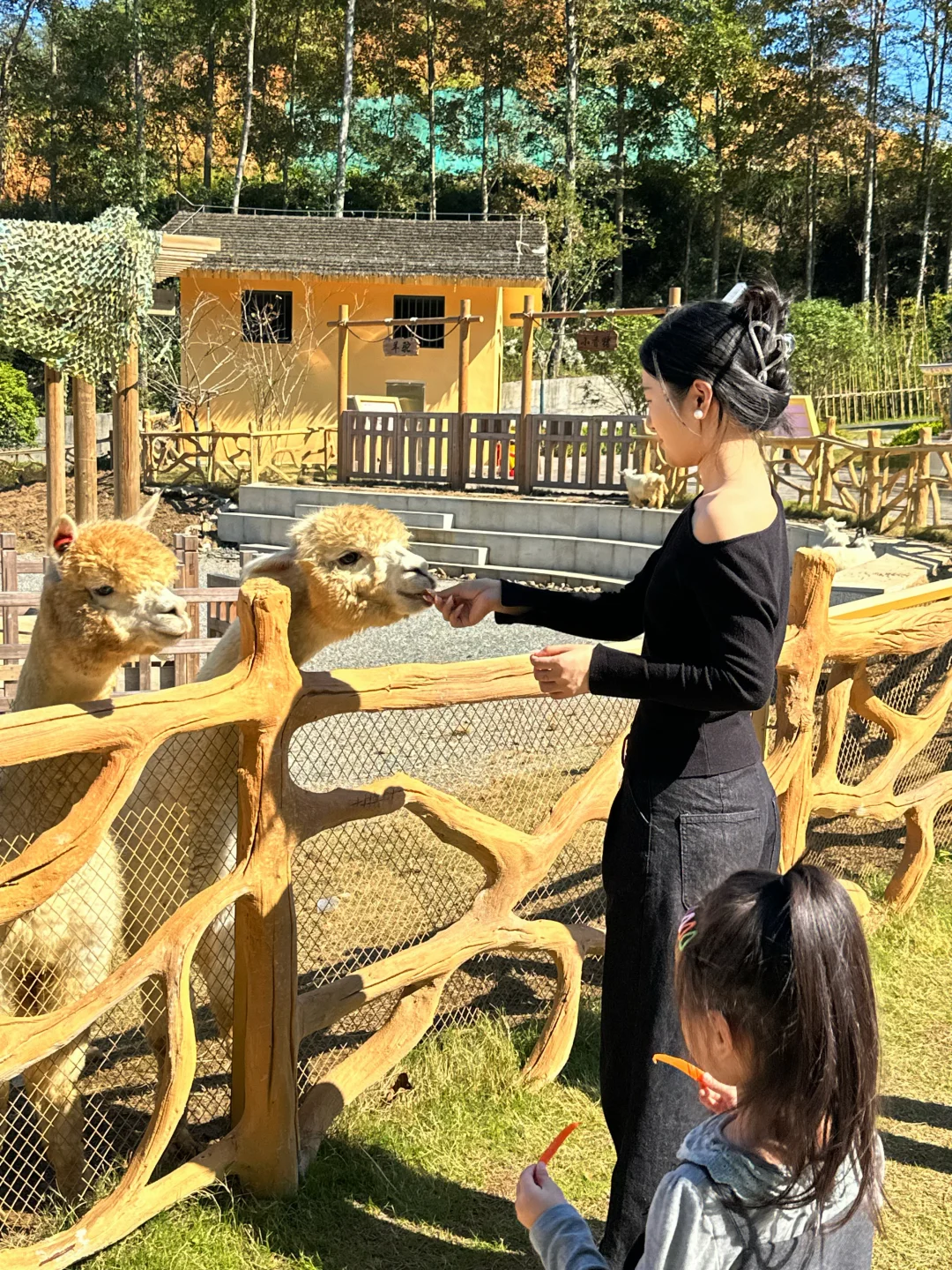 适合亲子游玩的地方 亲近小动物 遛娃好去处 藏在小城里的冬天
