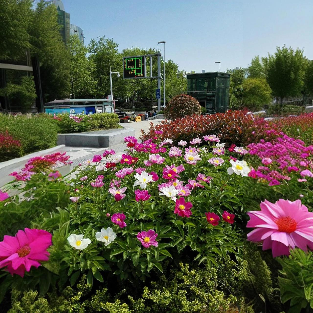 #用一句诗词来描绘春天的美景#
春天，是大自然最美的诗篇。它带着生机与活力，唤醒