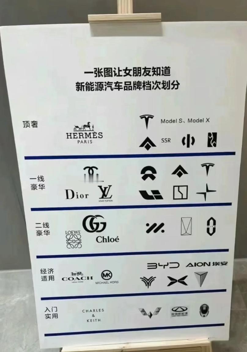 一张图，让女朋友知道新能源汽车品牌档次划分。

顶奢：特斯拉S/X、昊铂SSR、