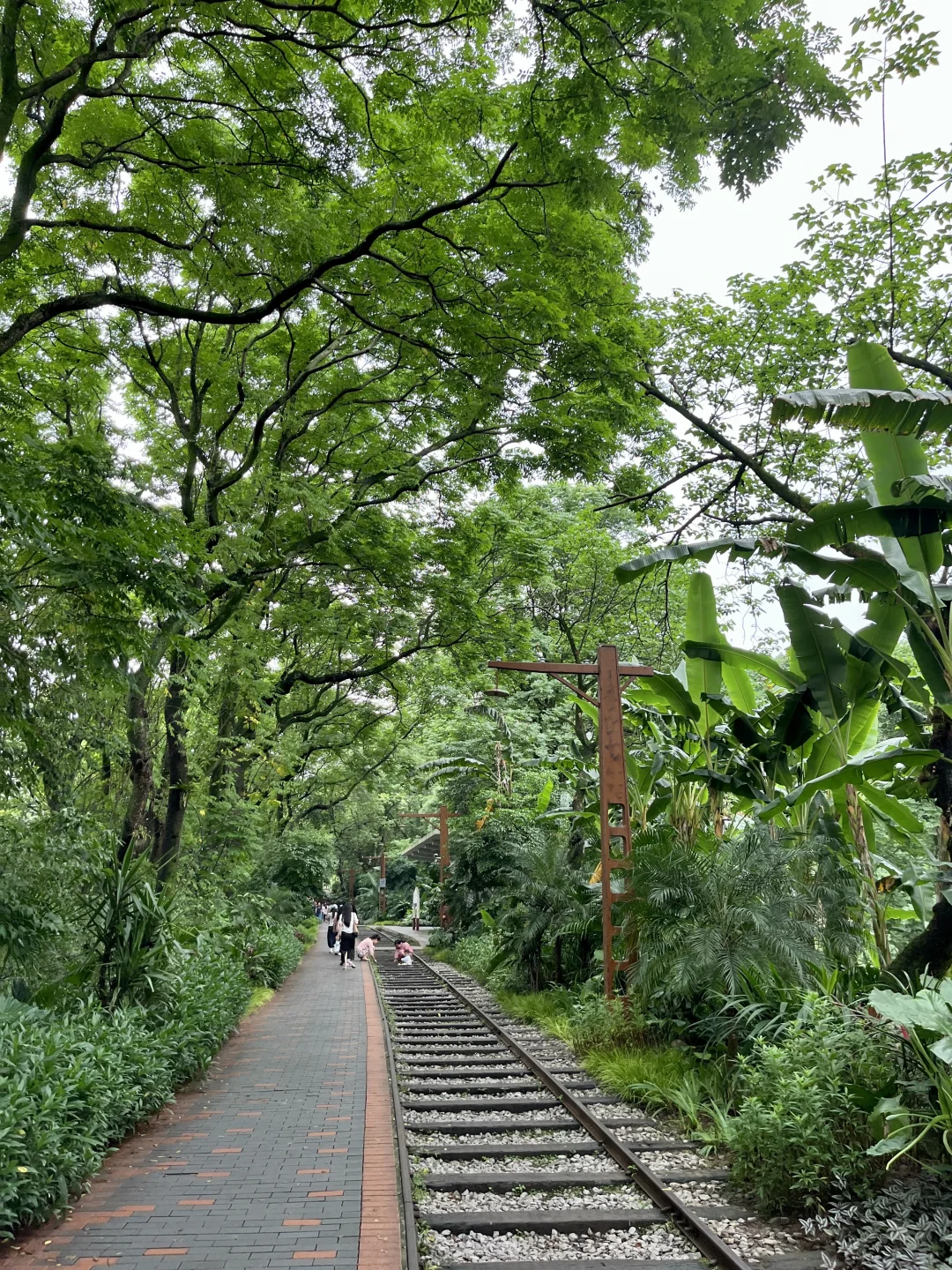 重庆🍃今年走过最舒服的citywalk路线🚶‍♀️…